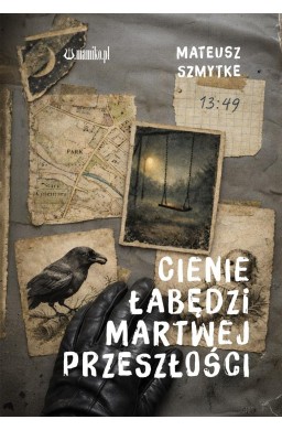 Cienie łabędzi martwej przeszłości