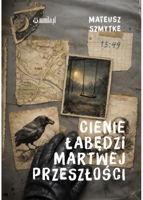 Cienie łabędzi martwej przeszłości