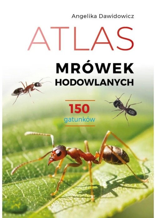 Atlas mrówek hodowlanych