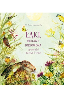 Łąki, murawy, torfowiska. Opowieści turzyc i traw