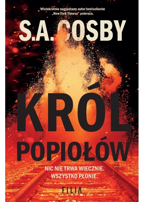 Król popiołów