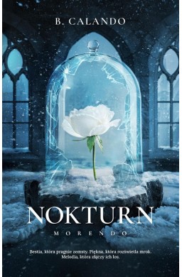 Nokturn
