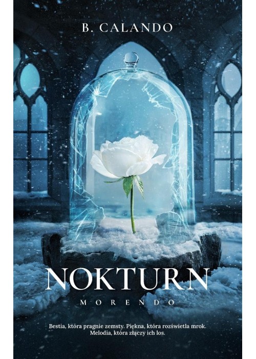 Nokturn