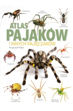 Atlas pająków i innych pajęczaków