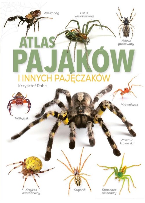 Atlas pająków i innych pajęczaków