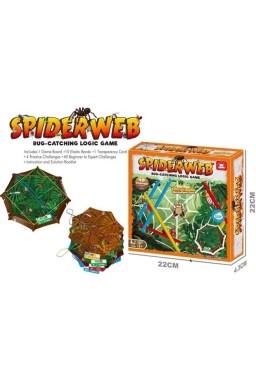 Pajęcza sieć logiczna