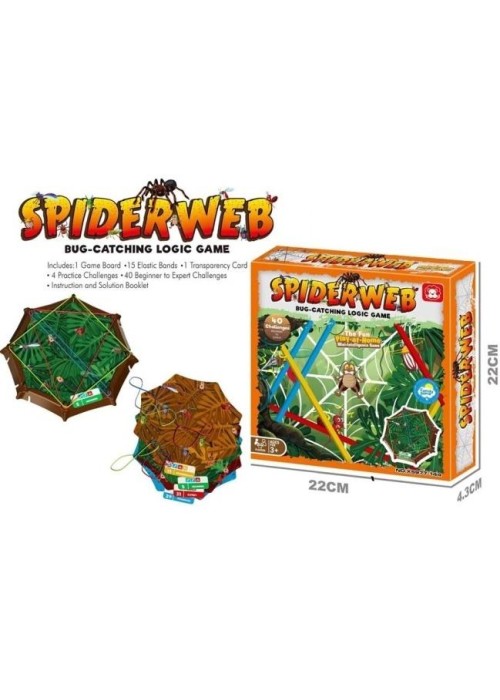 Pajęcza sieć logiczna