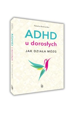 ADHD u dorosłych. Jak działa mózg