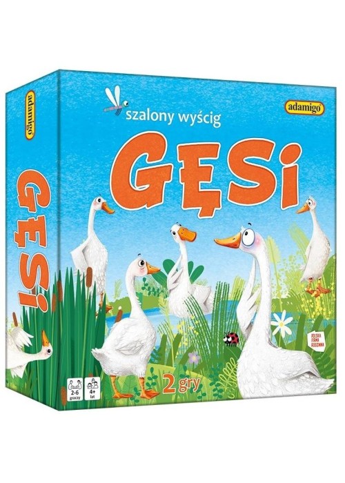 Gęsi - szalony wyścig