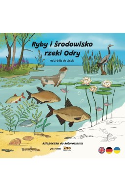 Ryby i środowisko rzeki Odry. Od źródła do ujścia