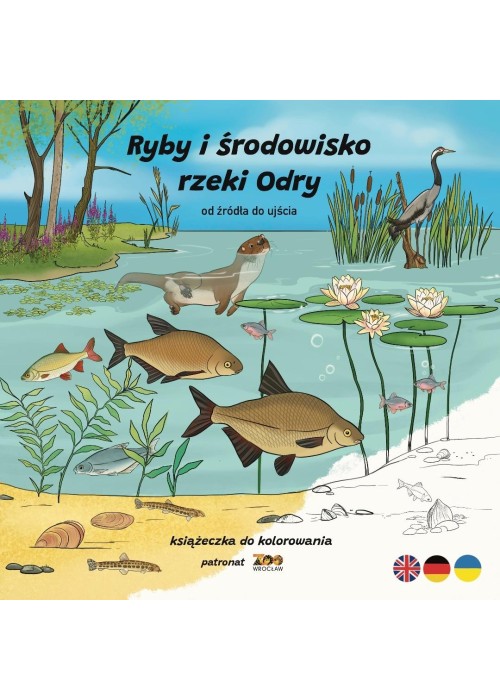 Ryby i środowisko rzeki Odry. Od źródła do ujścia