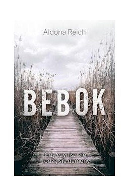 Tomasz Radwan T.2 Strzyga