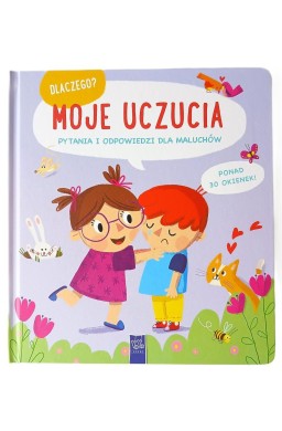 Dlaczego? Moje uczucia