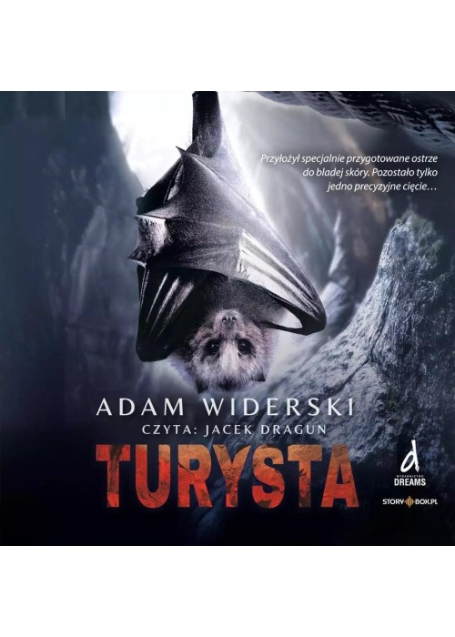 Turysta audiobook