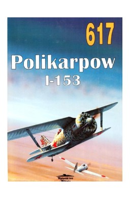 Nr 617 Polikarpow I-153