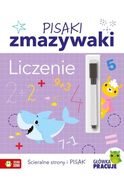 Pisaki zmazywaki. Liczenie