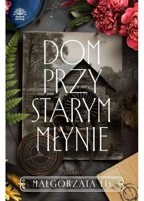 Dom przy starym młynie