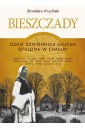 Bieszczady. Gdzie dzwonnica głucha otulona... w.2