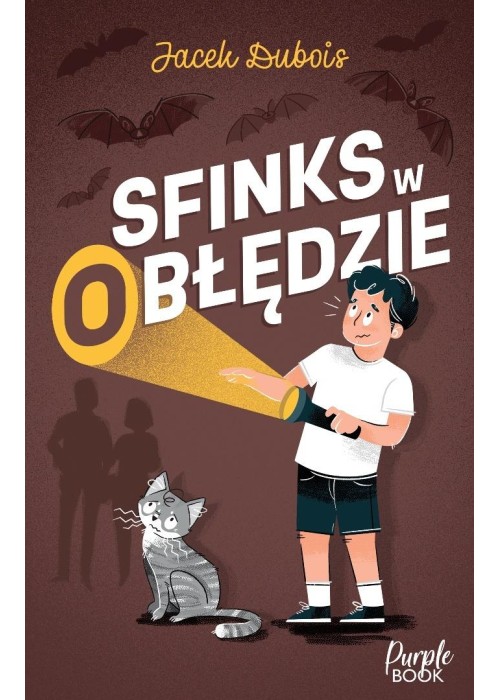 Sfinks w (o)błędzie