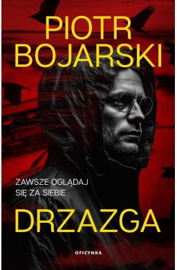 Drzazga