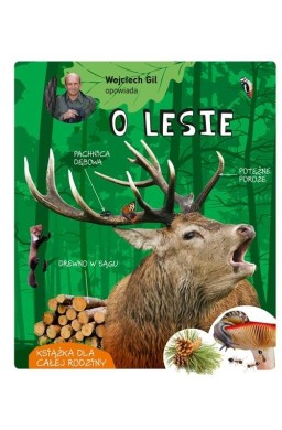 Wojciech Gil opowiada o lesie