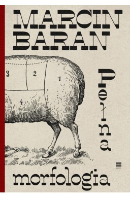 Pełna morfologia