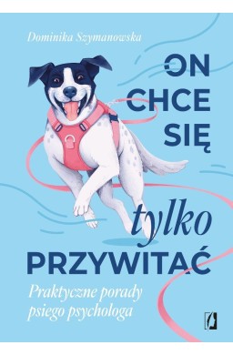 On chce sie tylko przywitać! Praktyczne porady...