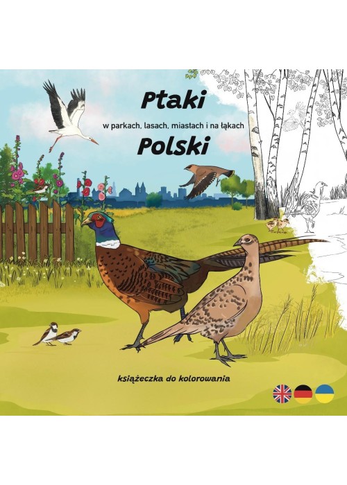 Ptaki w parkach, lasach, miastach i na łąkach...