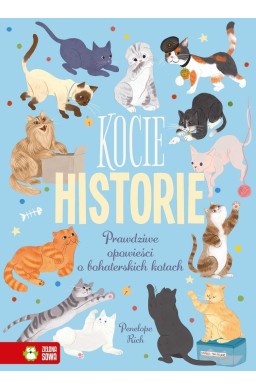 Kocie historie