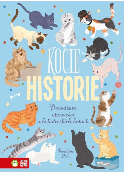 Kocie historie