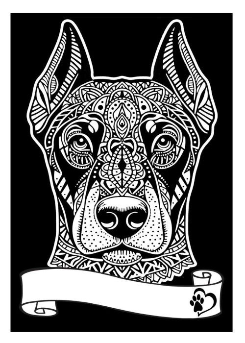 Kolorowanka welwetowa A4 Doberman