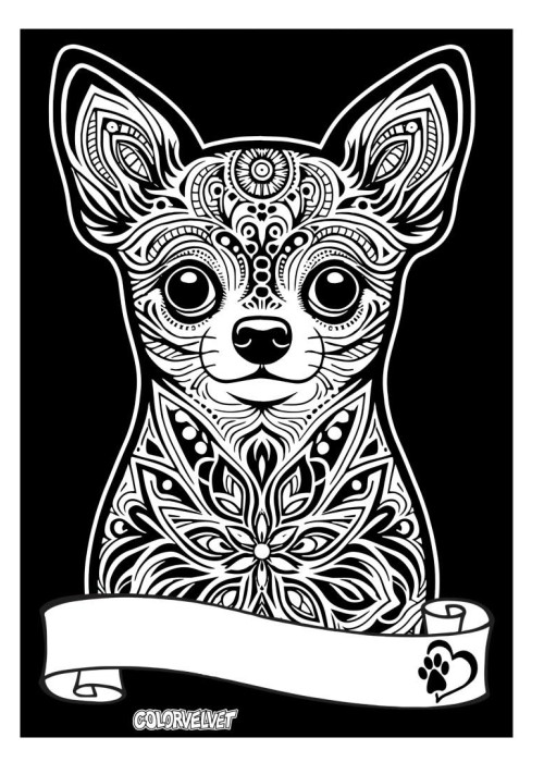 Kolorowanka welwetowa A4 Chihuahua
