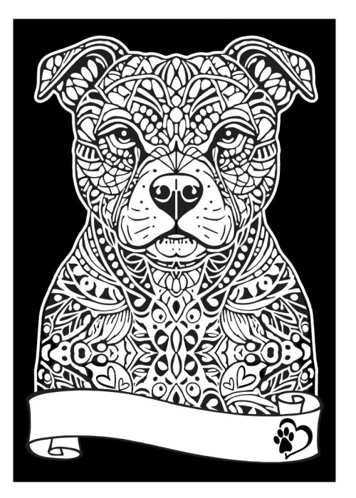 Kolorowanka welwetowa A4 Pitbul