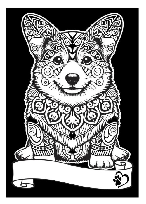 Kolorowanka welwetowa A4 Corgi