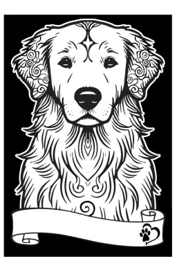 Kolorowanka welwetowa A4 Golden retriever