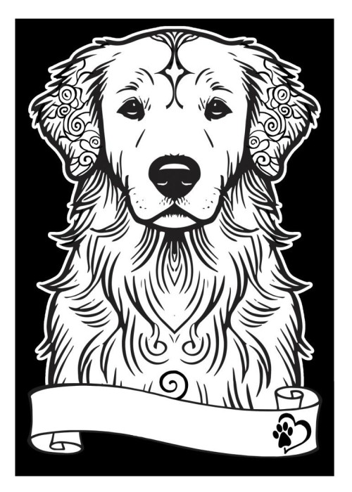 Kolorowanka welwetowa A4 Golden retriever