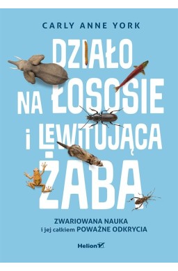 Działo na łososie i lewitująca żaba