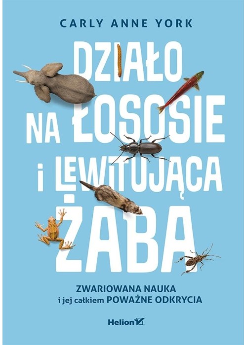 Działo na łososie i lewitująca żaba