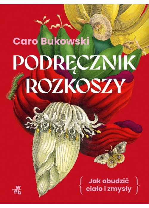 Podręcznik rozkoszy. Jak obudzić ciało i zmysły