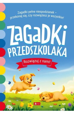 Zagadki przedszkolaka