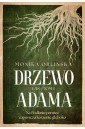 Las T.1 Drzewo Adama