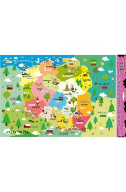 Plakat elektrostatyczny Polska edu