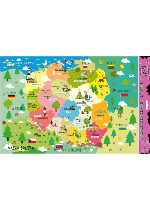 Plakat elektrostatyczny Polska edu