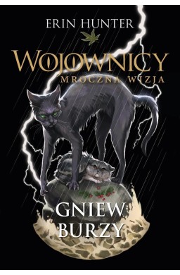 Wojownicy T.6 Gniew burzy
