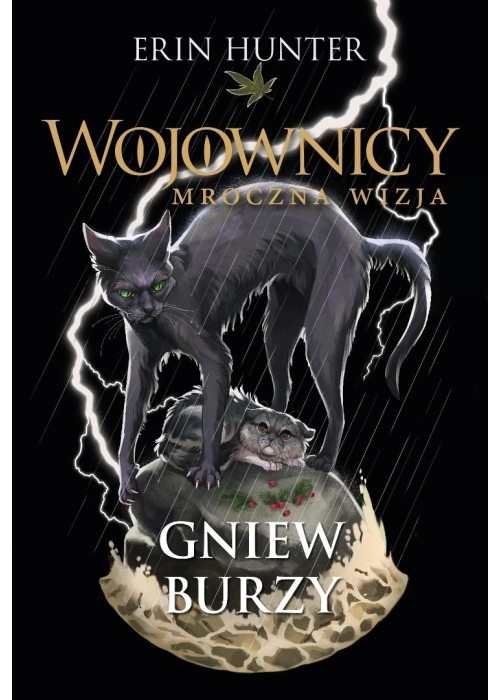 Wojownicy T.6 Gniew burzy