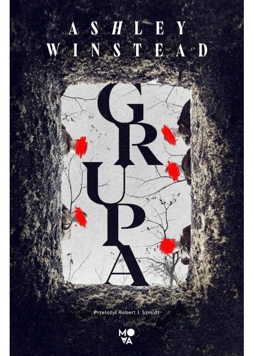 Grupa
