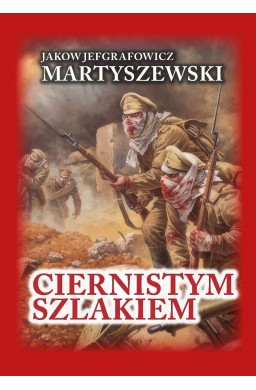 Ciernistym szlakiem. Wspomnienia 1914 - 1918 TW