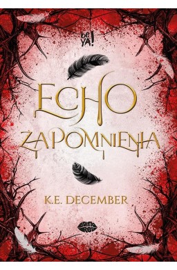 Echo zapomnienia