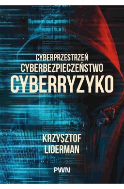 Cyberprzestrzeń, cyberbezpieczeństwo, cyberryzyko