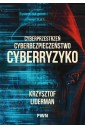 Cyberprzestrzeń, cyberbezpieczeństwo, cyberryzyko